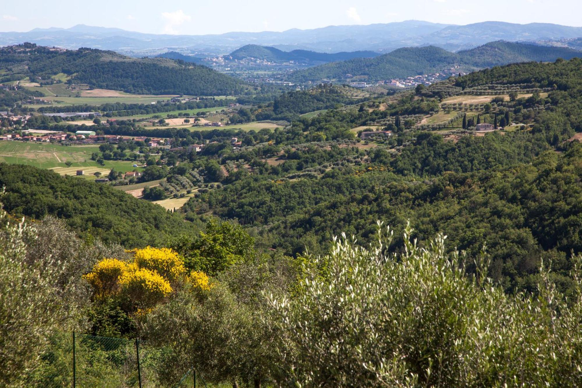 Farm stay La Maesta